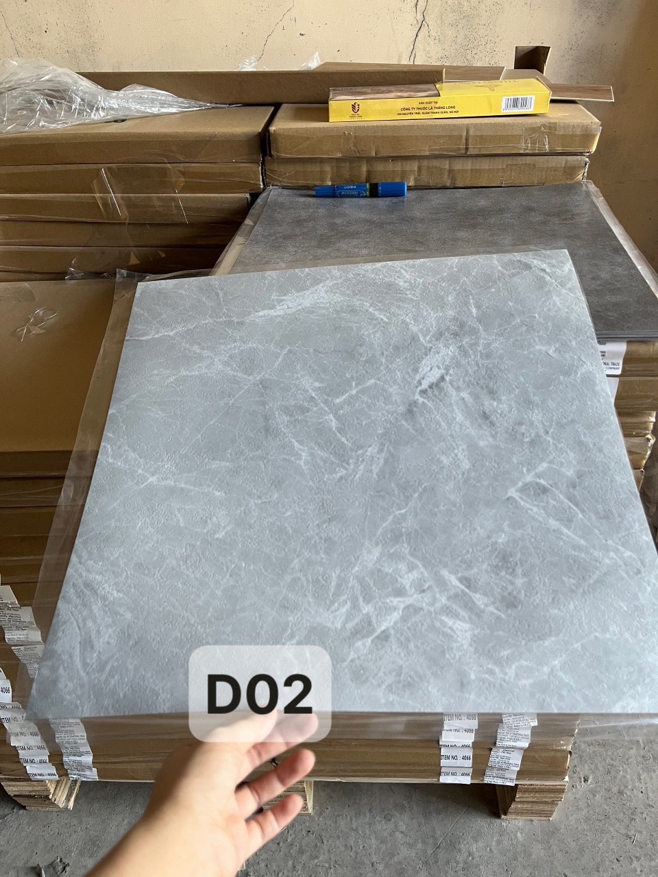 D02