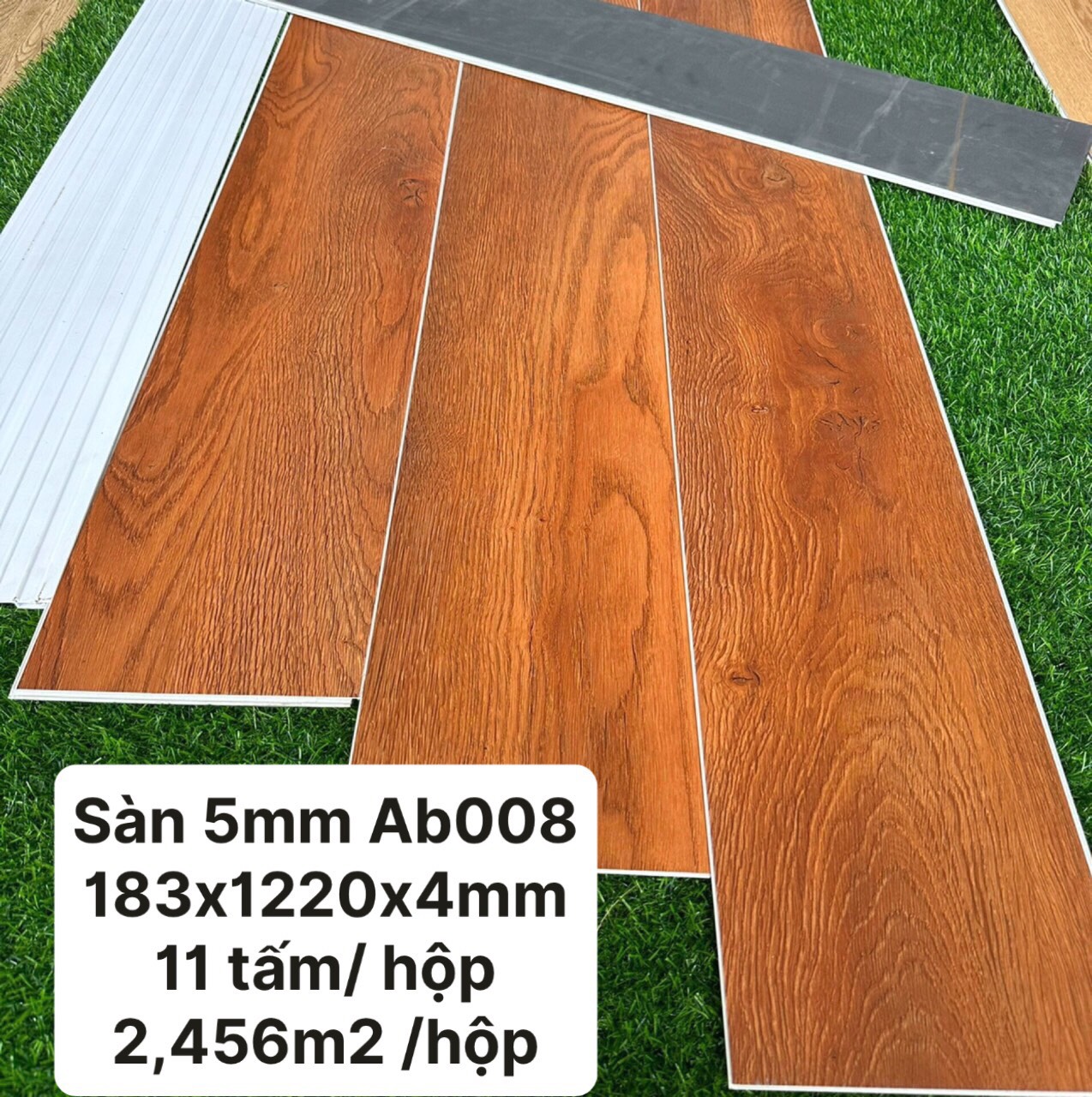 AB008